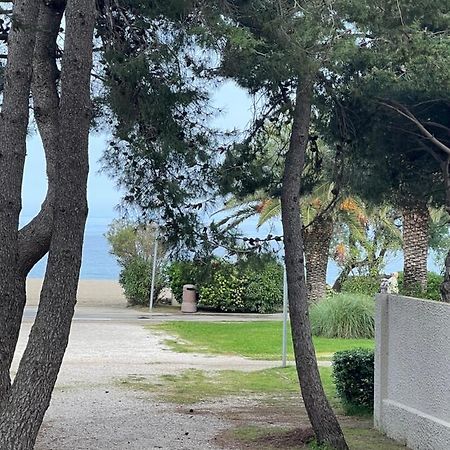 Grand F3 Vue Mer Centre Plage Proche Commerces Plage dʼArgelès Εξωτερικό φωτογραφία