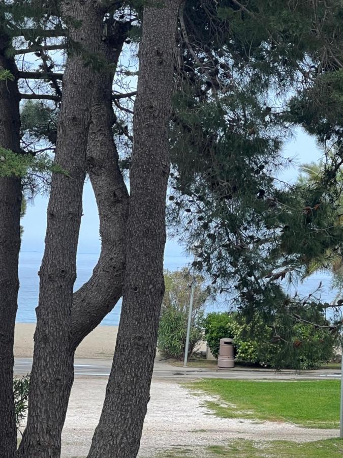 Grand F3 Vue Mer Centre Plage Proche Commerces Plage dʼArgelès Εξωτερικό φωτογραφία