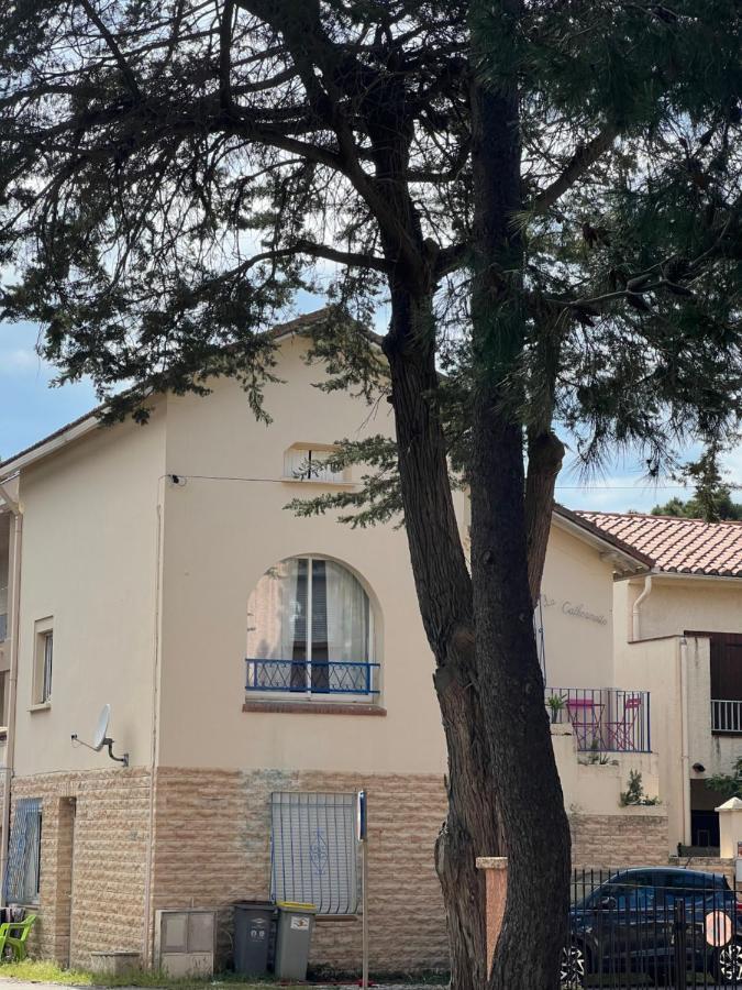 Grand F3 Vue Mer Centre Plage Proche Commerces Plage dʼArgelès Εξωτερικό φωτογραφία