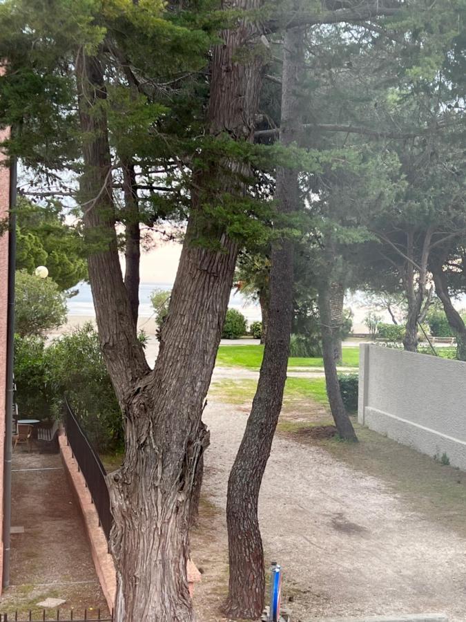 Grand F3 Vue Mer Centre Plage Proche Commerces Plage dʼArgelès Εξωτερικό φωτογραφία