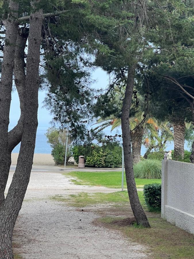 Grand F3 Vue Mer Centre Plage Proche Commerces Plage dʼArgelès Εξωτερικό φωτογραφία
