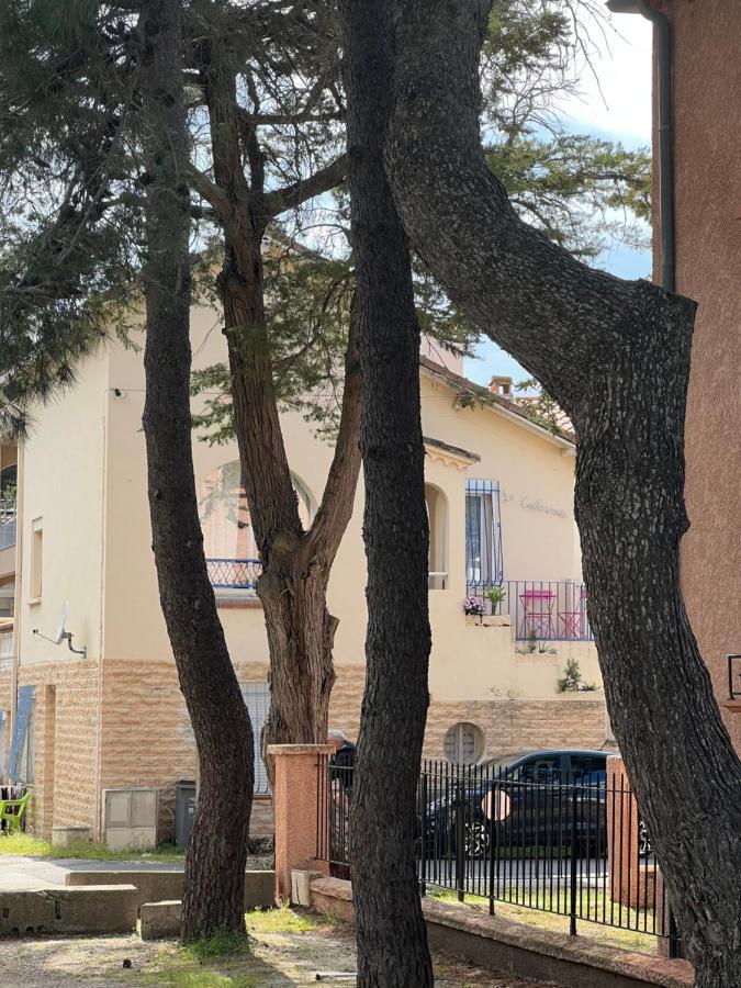 Grand F3 Vue Mer Centre Plage Proche Commerces Plage dʼArgelès Εξωτερικό φωτογραφία
