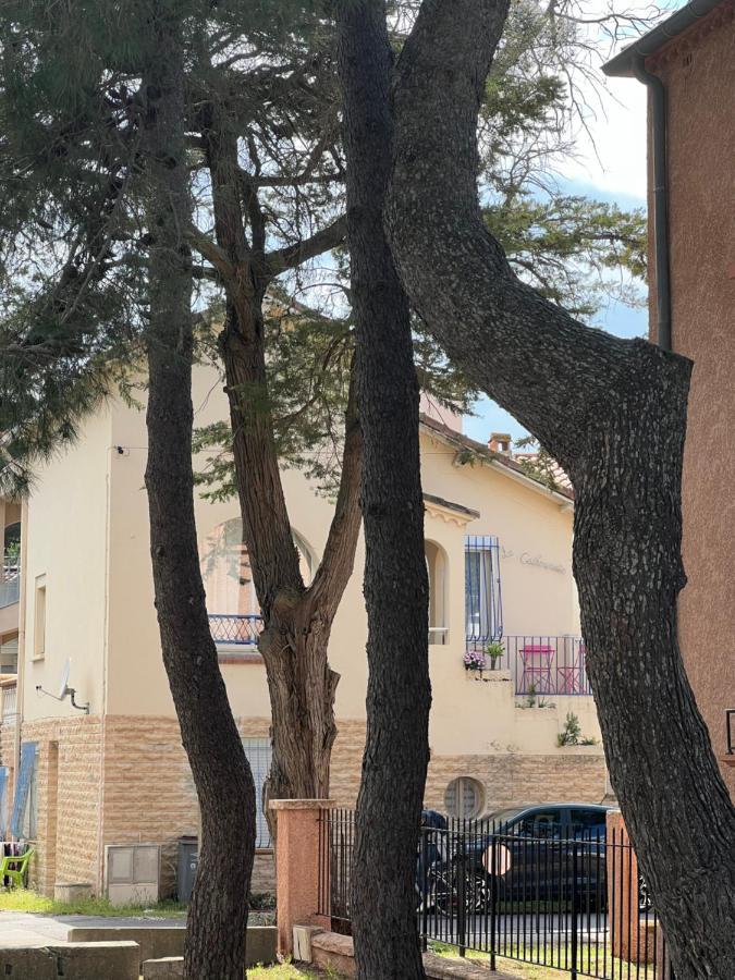 Grand F3 Vue Mer Centre Plage Proche Commerces Plage dʼArgelès Εξωτερικό φωτογραφία