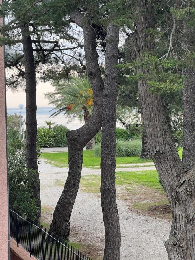Grand F3 Vue Mer Centre Plage Proche Commerces Plage dʼArgelès Εξωτερικό φωτογραφία